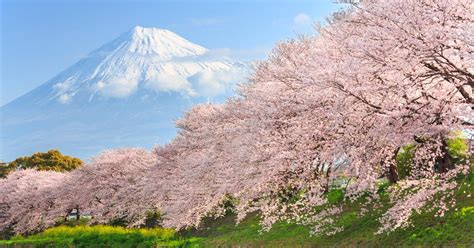 Cheap flights from Philippines to Japan from $161 .